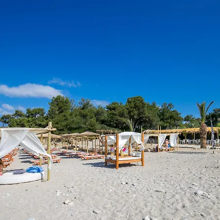 Sotiris Πευκάρι